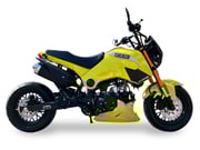 Ice Bear PMZ 125-1, FuerzaDeluxe 4 Speed Manual Trans, 12 inch rims Dual Disk Brakes, California Legal!