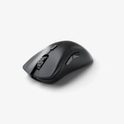 Model D 2 PRO Series Wireless Mouse 4K/8KHz Edition