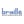 BrailleSkateboarding