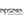 Apsara Skin Care