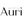 Auri Nutrition
