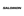 Salomon