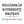 Wholesale Accessory Market