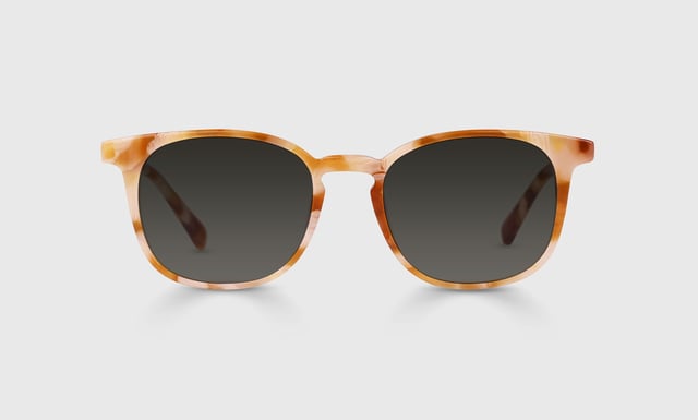 Boardroom Sunglasses