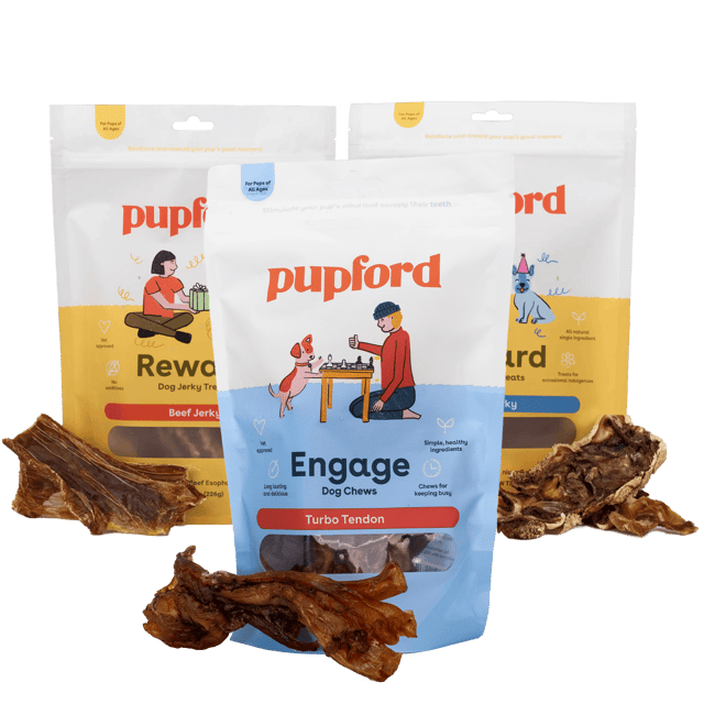Regular Meat Trio Bundle