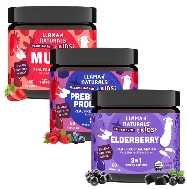 Kids Multi + Pre & Pro + Elderberry Bundle (Organic)