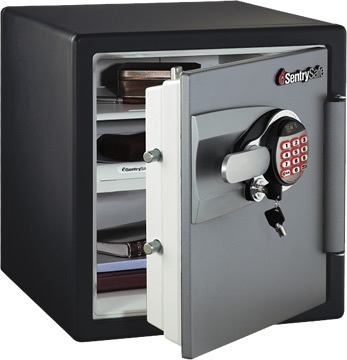 Sentry OA3817