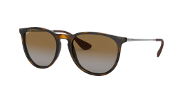 Ray-Ban RB4171 Erika 54 Eyesize