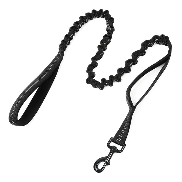 Rabbitgoo Dog Leash with 2 Padded Traffic Control Handles