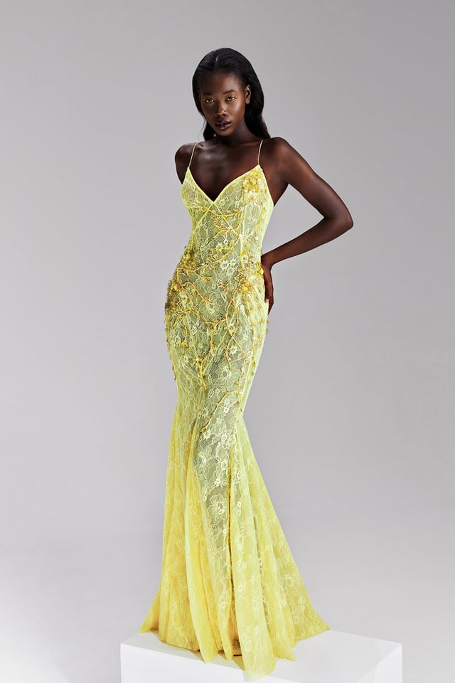 Hand-embellished lace dress