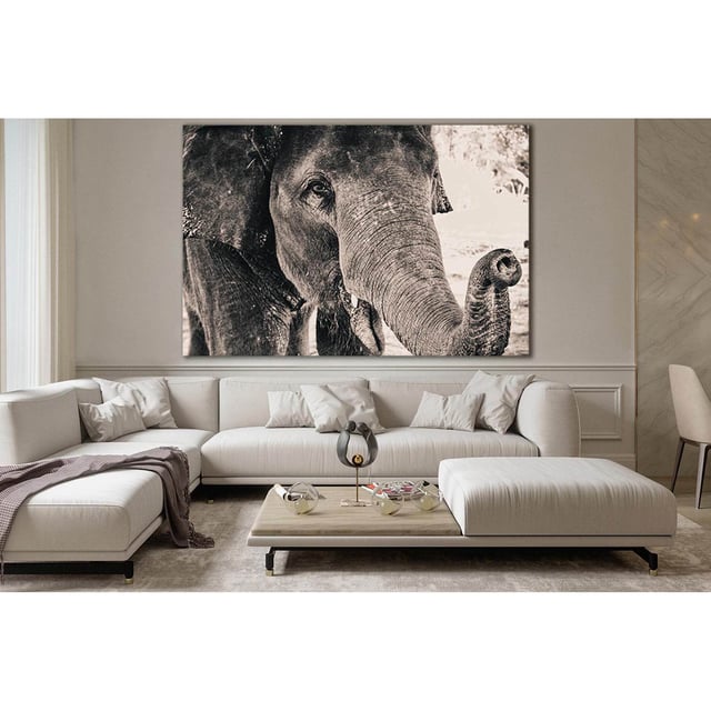 Big Elephant Monochrome Portrait №SL1505 Ready to Hang Canvas Print