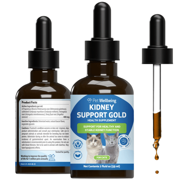 Kidney Support Gold - for Healthy Kidney Function in Cats