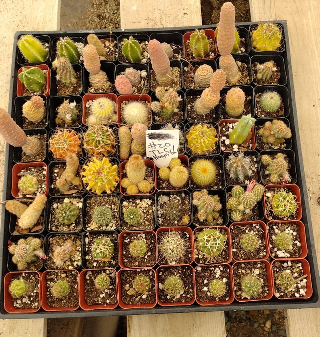 Facebook SPECIALS