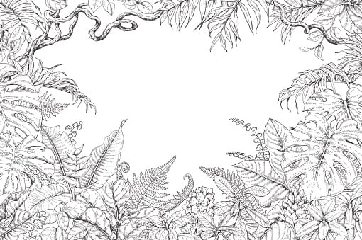 Hand drawn branches and leaves of tropical plants.Monochrome...