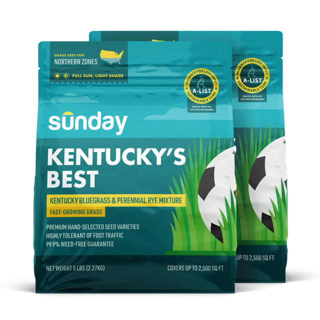 Kentucky's Best Grass Seed (2-pack)