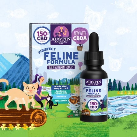 CBD Oil for Cats
