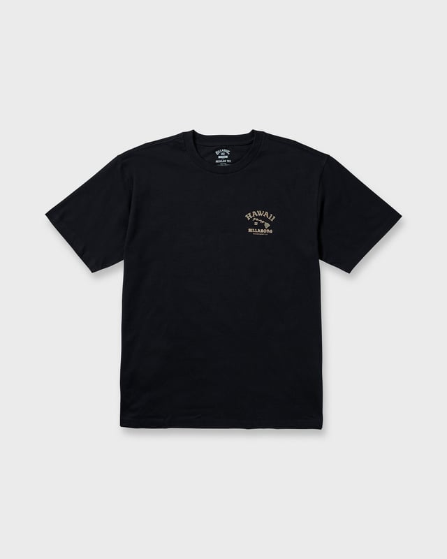 Island Chain Hawaii Regular Tee - Black