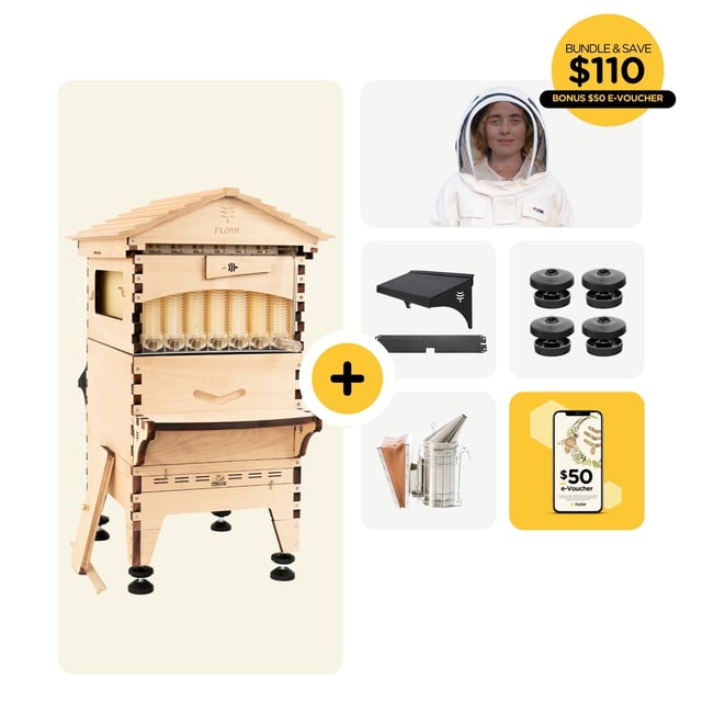 Starter Bundle