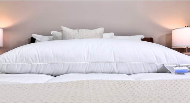 Holiday Inn<sup>®</sup> Featherbest Pillow | Medium Support
