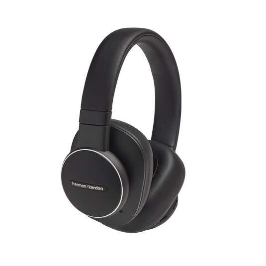 Harman Kardon FLY ANC