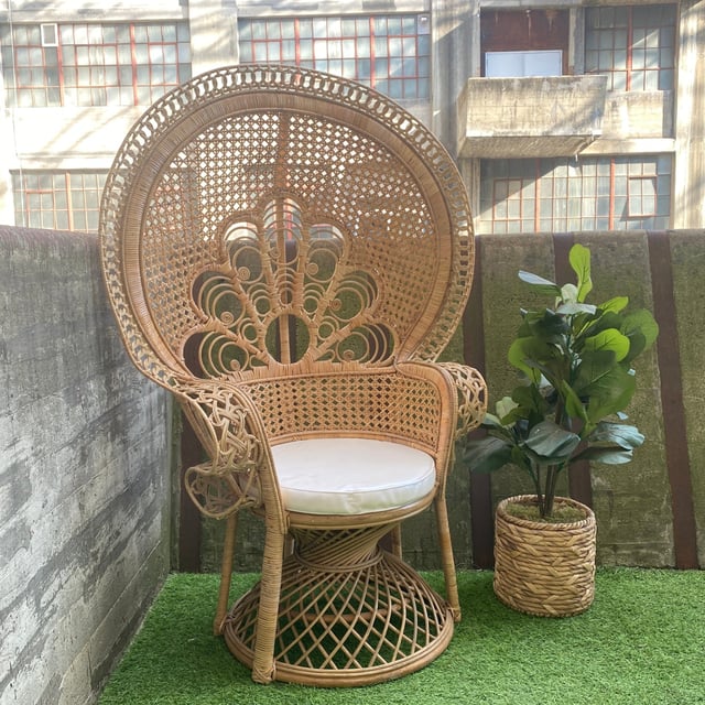Delila 58 Rattan Peacock Chair