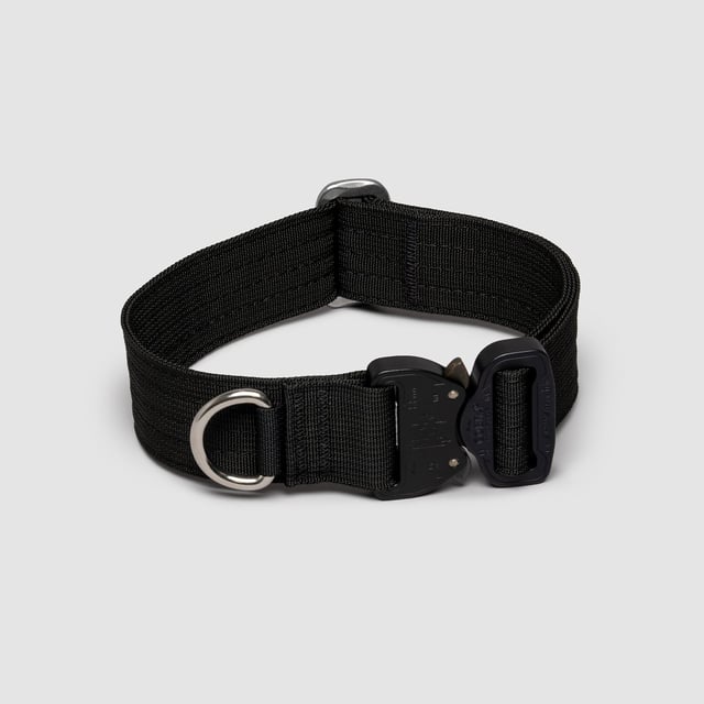 Lifetime Pro Collar