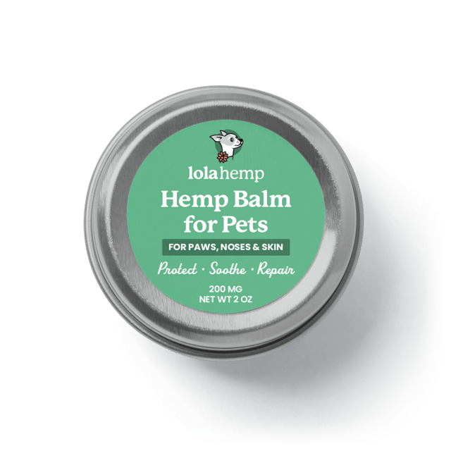 Hemp Topical Balm || 200MG