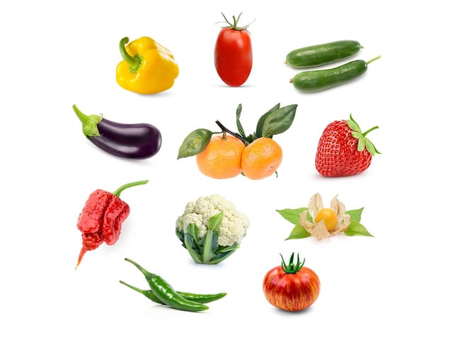 Grow Anything Plant Pods (optimised for fruiting plants)