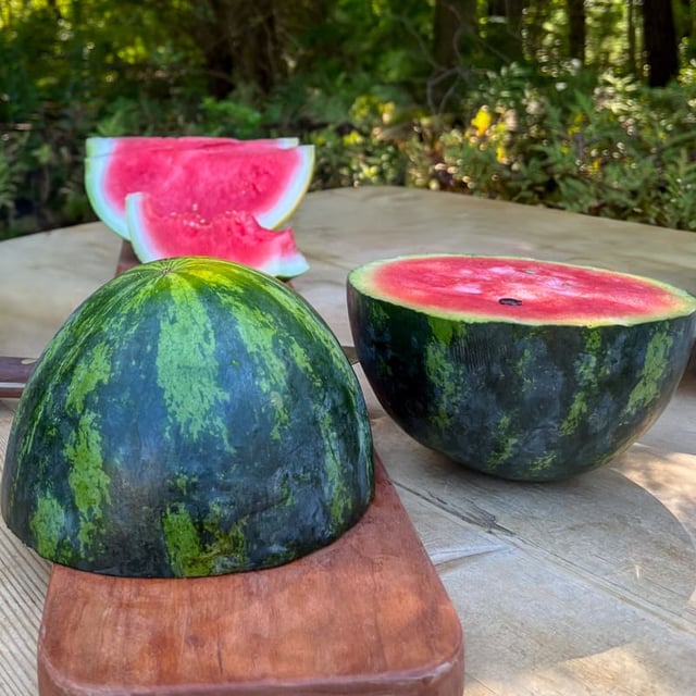 Crimson Sweet Watermelon (Organic 85 Days)