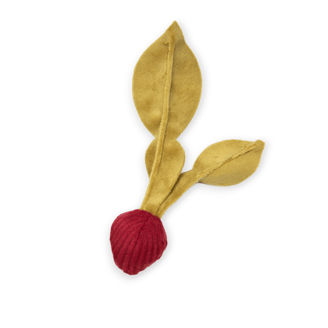 RADISH