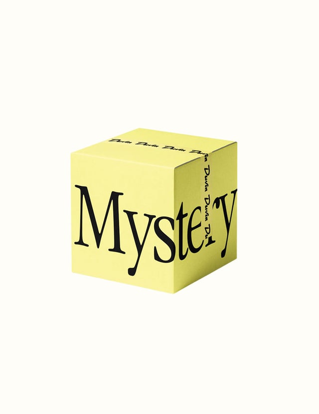 Women's Mystery Box ($280 Value)