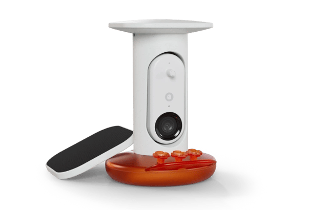 Smart Hummingbird Feeder PRO  with Solar Roof