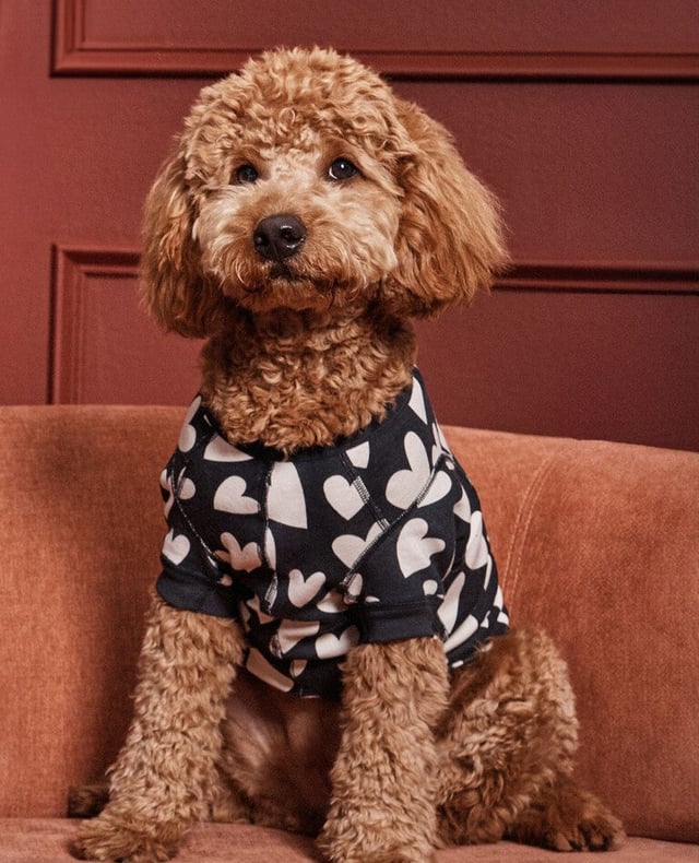 Dog Pajamas