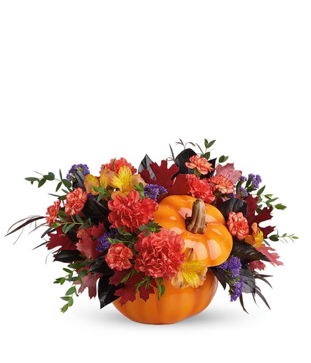 Autumn's Pumpkin Pilgrimage 