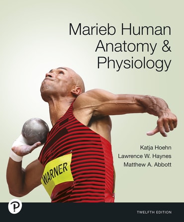 Marieb Human Anatomy & Physiology