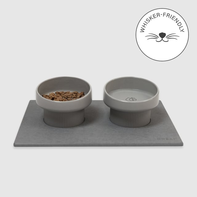 Elevated Cat Feeding Station