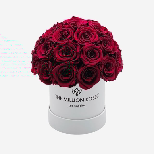 Basic White Superdome Box | Burgundy Roses