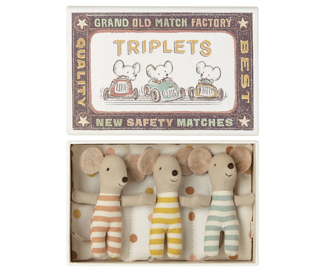 Baby Triplets in Box