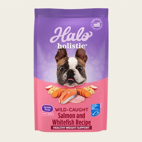 Holistic Healthy Weight Support Wild-Caught Salmon & Whitefish Recipe Small Breed Dry Dog Food