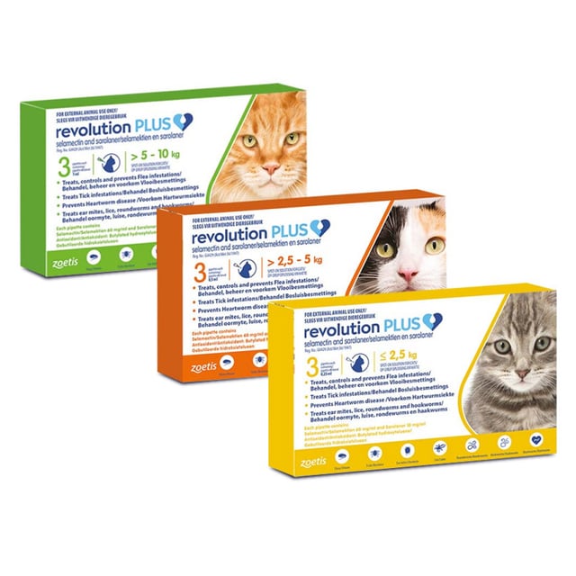Revolution Plus (Monthly) (Selamectin / Sarolaner Topical Solution)