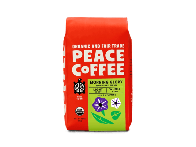 Morning Glory