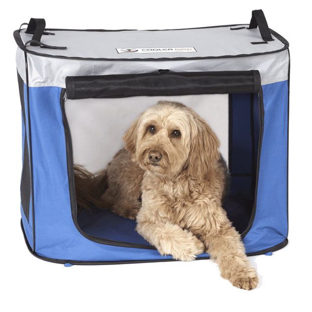Pup-Up Shade Oasis