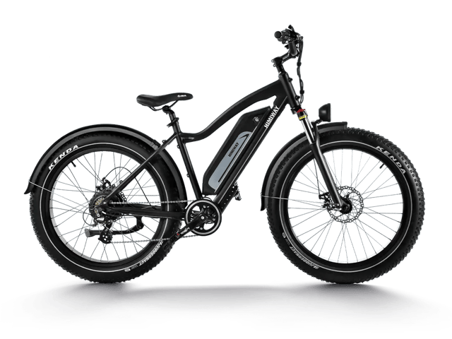Himiway D3 (Cruiser) | Long Range Fat Tire Electric Bike