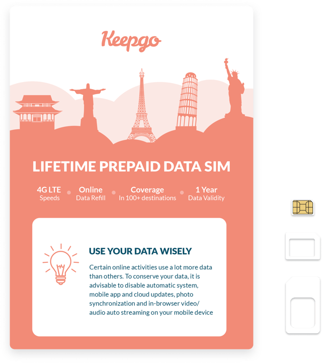 Lifetime World SIM Card