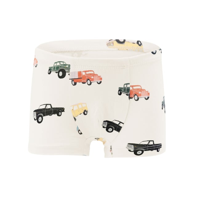 Briefs in Vintage Truck