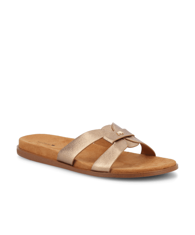 The Sunbird Icon - Gold Leather