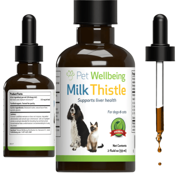 Milk Thistle - for Healthy Liver Function in Dogs