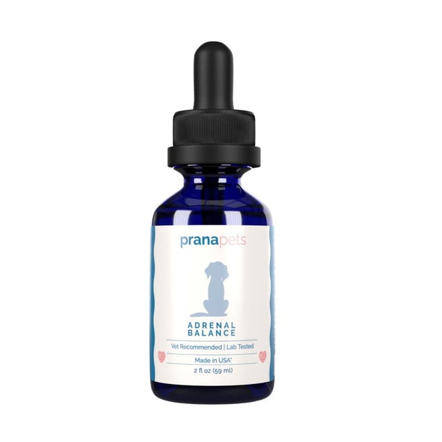 Adrenal Support for Dogs with Cushing's
