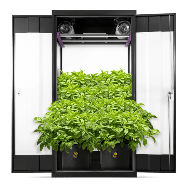 SuperFlower Soil Grow Box 36” x 24” x 72”
