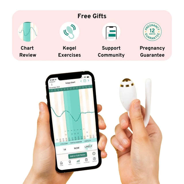 kegg fertility tracker and kegel ball